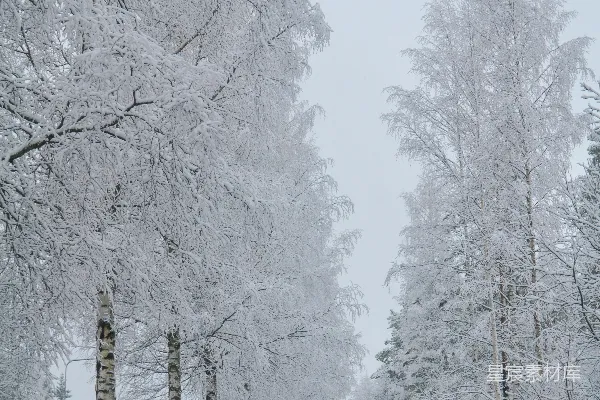 高清摄影 冬日雪景中的静谧乡间小路