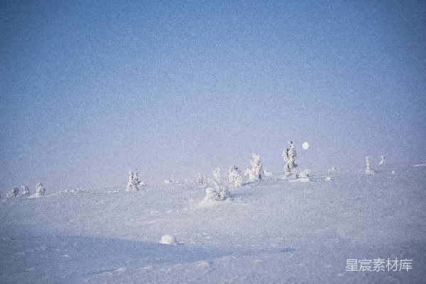 高清摄影 雪地中的月光与树影