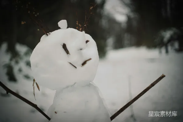 高清摄影 冬日里的雪人