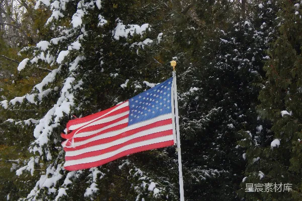高清摄影 雪地中的美国国旗