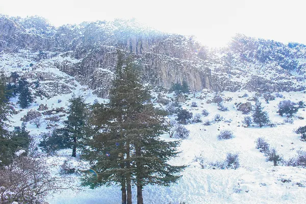 高清摄影 雪后山林