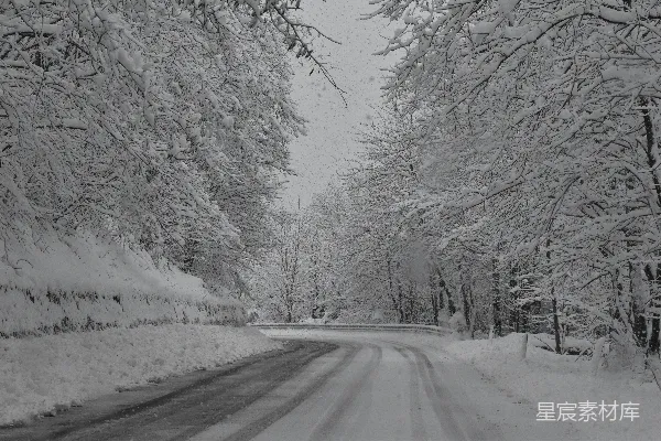 高清摄影 雪中林间小路