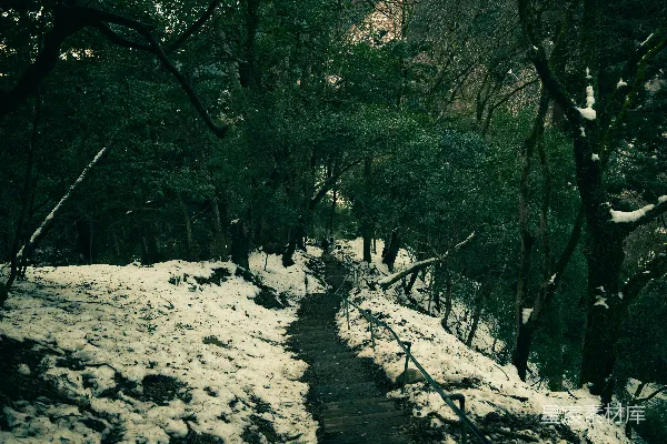 高清摄影 雪后森林小径