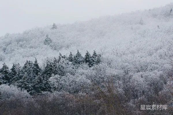 高清摄影 冬日山林雪景