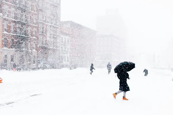 高清摄影 雪中漫步
