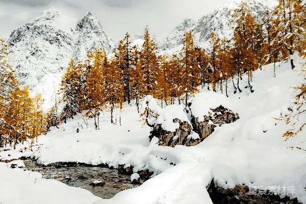 高清摄影 冬日山林雪景