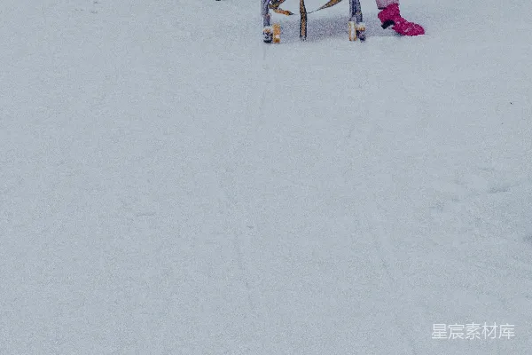 高清摄影 冬日雪地里的温馨时刻