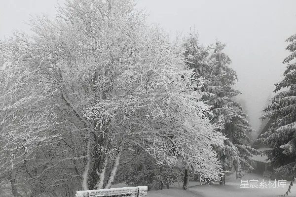 高清摄影 冬日雪景中的静谧长椅