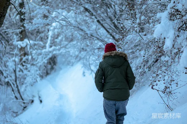 高清摄影 冬日雪景中的背影