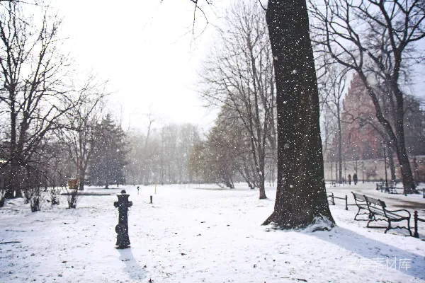 高清摄影 冬日公园雪景