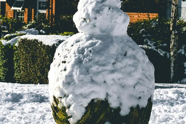 高清摄影 冬日的雪人