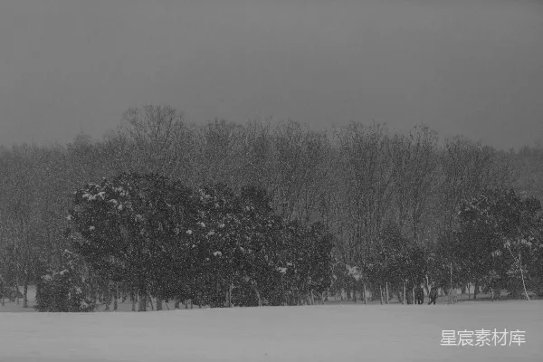 高清摄影 冬日雪景