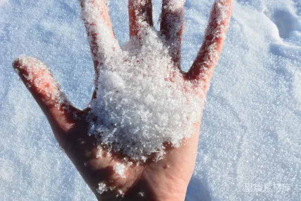 高清摄影 手心上的雪花