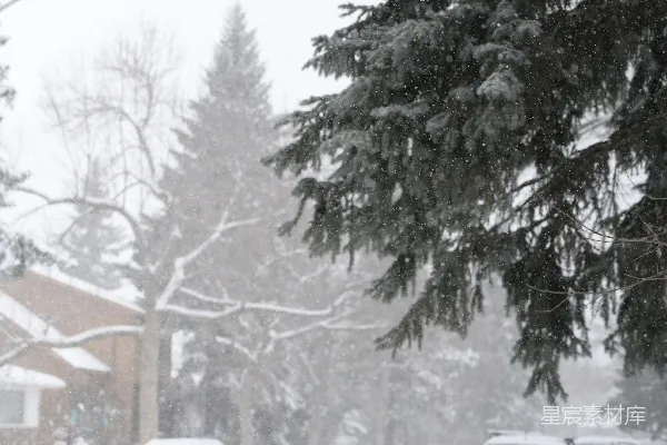 高清摄影 冬日雪景中的宁静街道