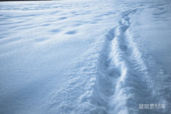 高清摄影 雪地上的足迹