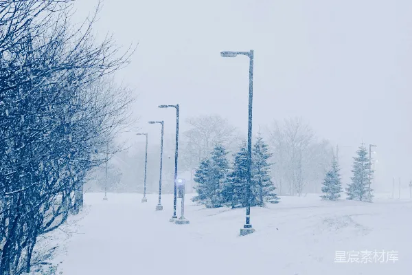 高清摄影 雪中的街灯