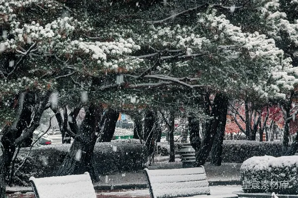 高清摄影 冬日雪景中的公园长椅