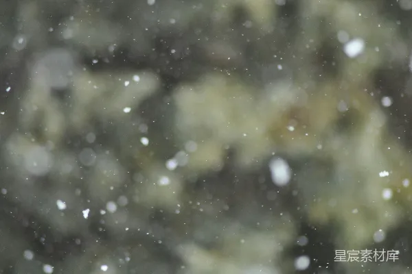 高清摄影 飘落的雪花