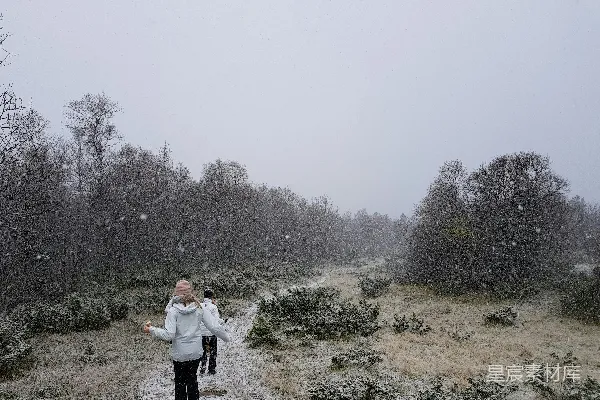 高清摄影 雪中漫步