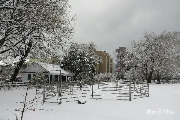 高清摄影 雪后宁静的公园一角
