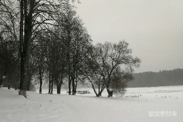 高清摄影 冬日雪景中的宁静小径