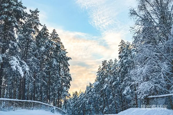 高清摄影 冬日森林的宁静雪道