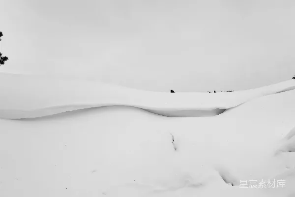 高清摄影 雪地中的自然曲线