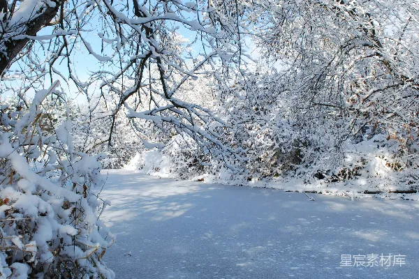 高清摄影 冬日静谧的雪景