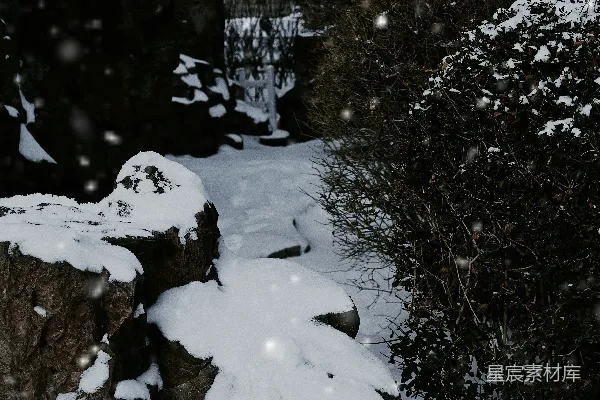 高清摄影 雪后的宁静花园
