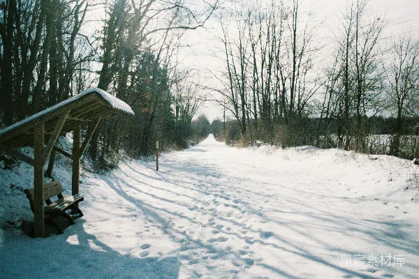 高清摄影 雪地长廊