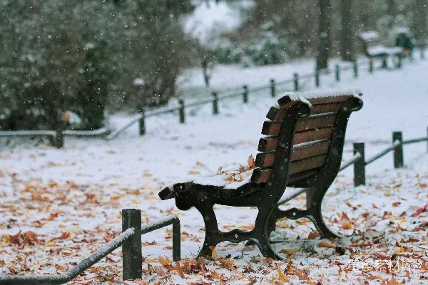 高清摄影 冬日雪景中的长椅