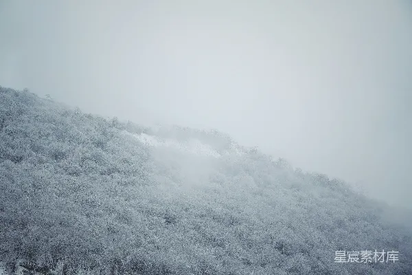 高清摄影 雾中山林