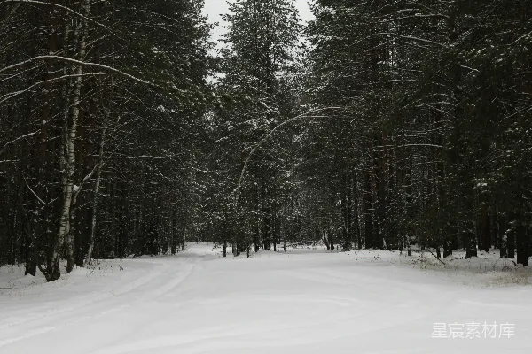 高清摄影 冬日雪地小径