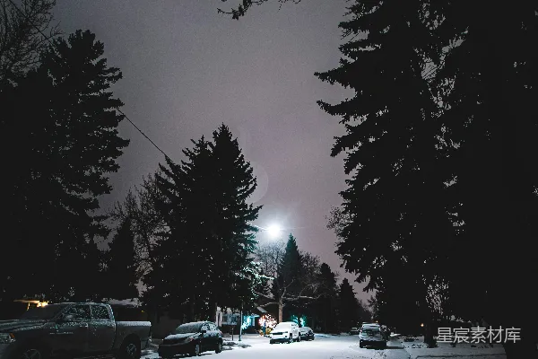 高清摄影 冬夜雪地中的路灯