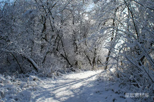 高清摄影 冬日雪景中的小径