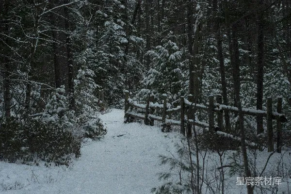 高清摄影 冬日雪景中的木栅栏
