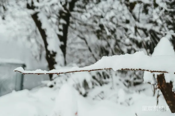 高清摄影 雪景中的雪人
