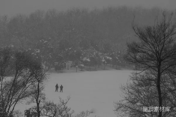 高清摄影 雪中的宁静森林