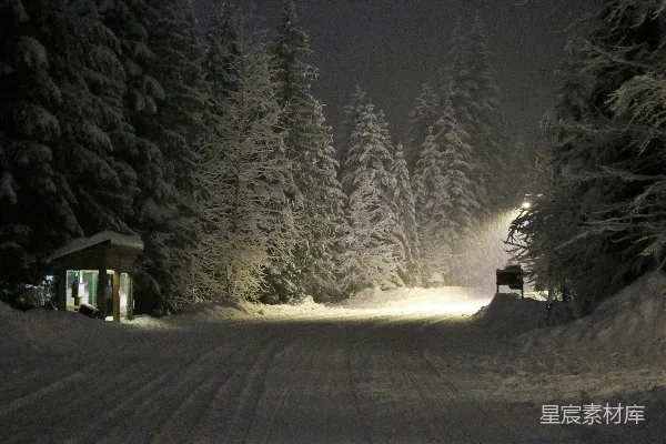 高清摄影 雪夜中的森林小径