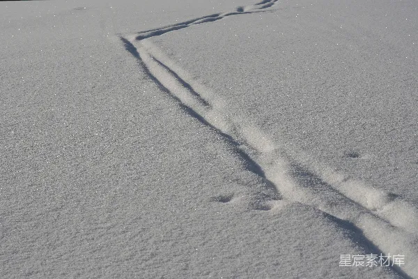 高清摄影 雪地中的痕迹