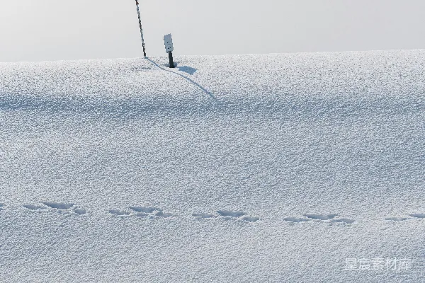 高清摄影 雪地中的脚印与标志