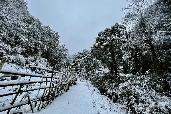高清摄影 雪后的宁静小径