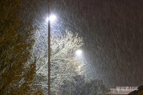 高清摄影 雪夜中的路灯与树木