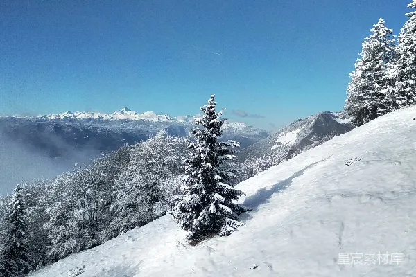 高清摄影 雪后的山间森林