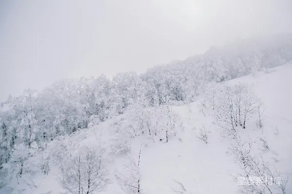 高清摄影 雪覆山林
