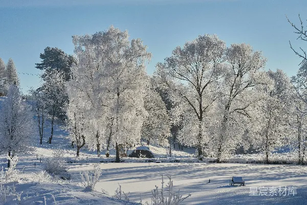 高清摄影 冬日雪景中的自然之美