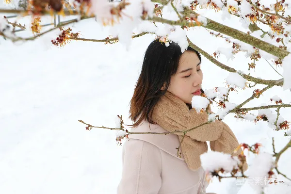 高清摄影 雪中的宁静