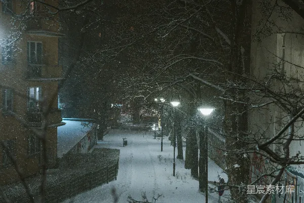 高清摄影 冬夜雪景