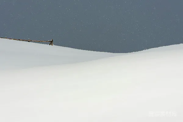 高清摄影 雪地上的孤独木桩