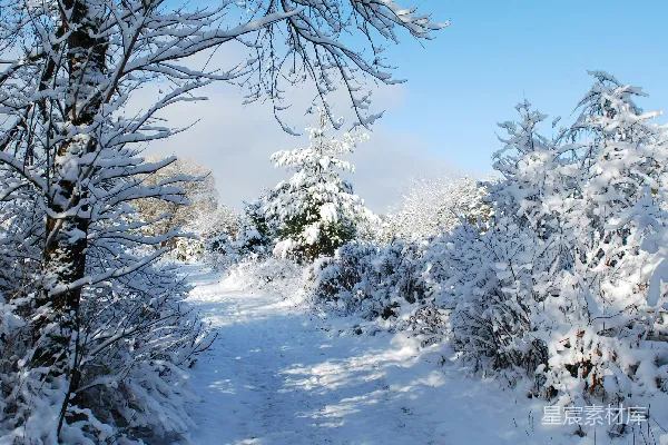 高清摄影 冬日雪景中的小径